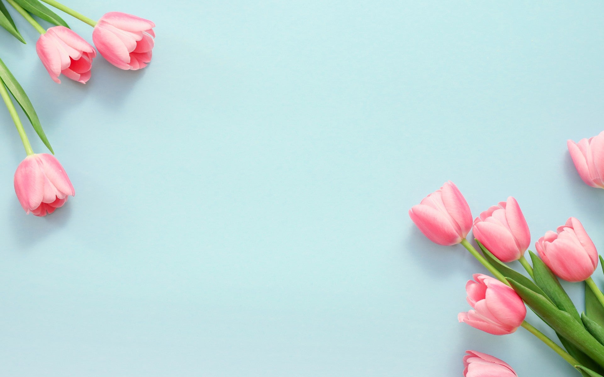 Speciale Festa della Mamma